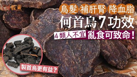 何首烏是什麼|何首烏 的功效與作用有哪些？完整解析！